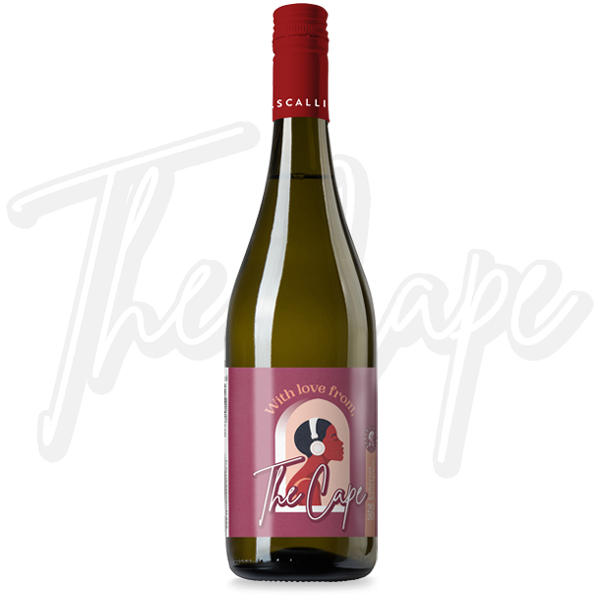 CABERNET-SAUVIGNON-2019-w-label