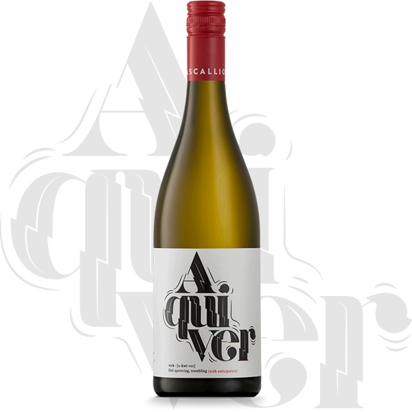 shop-aquiver